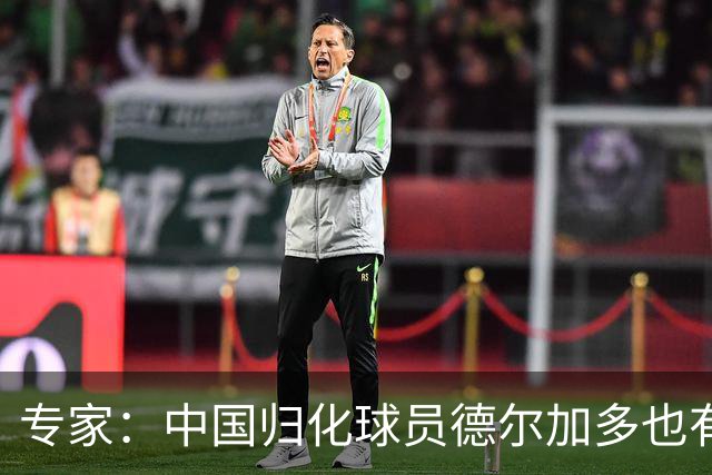 专家：中国归化球员德尔加多也有佛得角血统 其父为佛得角籍