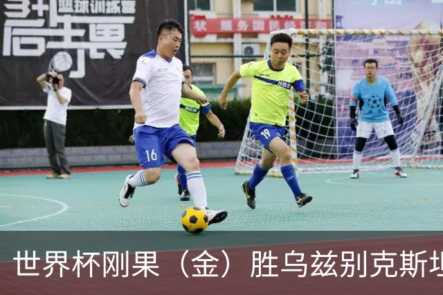 世界杯刚果（金）胜乌兹别克斯坦 韩国无缘32强