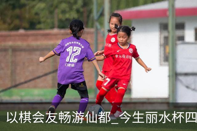 以棋会友畅游仙都 今生丽水杯四地围棋交流活动圆满落幕