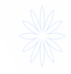 N1国际(中国)官方网站